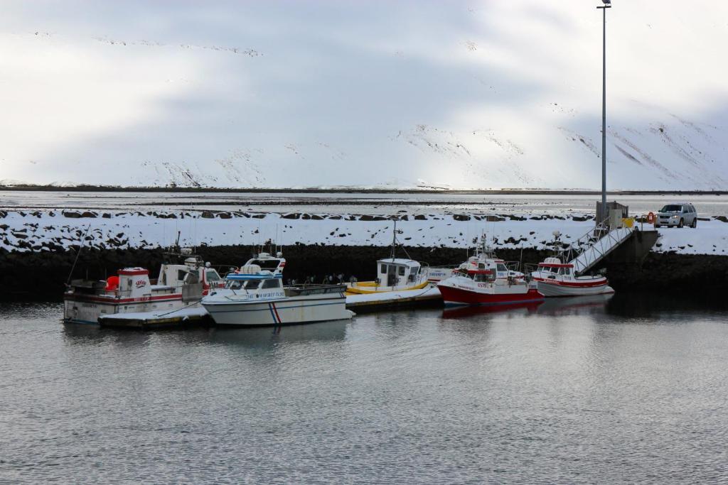 Comfy Guesthouse Westfjords Sudureyri Εξωτερικό φωτογραφία